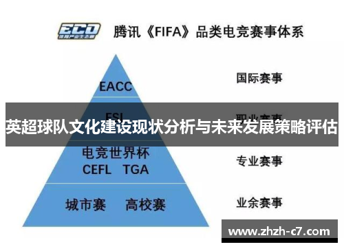 英超球队文化建设现状分析与未来发展策略评估
