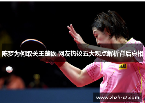 陈梦为何取关王楚钦 网友热议五大观点解析背后真相